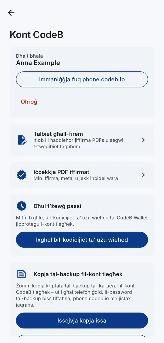 L-iskrin tal-kont CodeB: dħalt, b’talbiet għall-firem, kontroll tal-firem, dħul f’żewġ passi, kopja tal-backup u karta ta’ sħubija